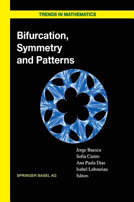 Bifurcation, Symmetry and Patterns - Buescu, Jorge (Editor), and De Castro, Paulo M S T (Editor), and Dias, Ana Paula (Editor)