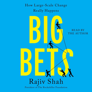 Big Bets: How Large-Scale Change Really Happens