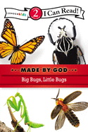 Big Bugs, Little Bugs: Level 2