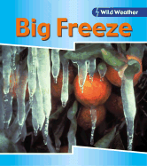 Big Freeze - Chambers, Catherine