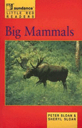 Big Mammals