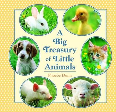 Big Treasury of Little Animals - 