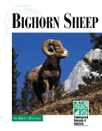 Bighorn Sheep - Lucent Books (Creator), and Bannor, Brett