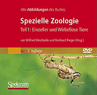Bild-DVD, Spezielle Zoologie, Teil 1: Einzeller Und Wirbellose Tiere: Alle Abbildungen Des Buches