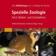 Bild-DVD, Westheide/Rieger (Hrsg), Spezielle Zoologie, Teil 2: Wirbel- Oder Sch Deltiere: Alle Abbildungen Des Buches