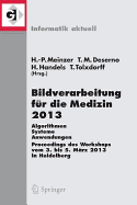 Bildverarbeitung Fur Die Medizin 2013: Algorithmen - Systeme - Anwendungen. Proceedings Des Workshops Vom 3. Bis 5. Marz 2013 in Heidelberg