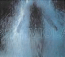 Bill Viola - Viola, Bill