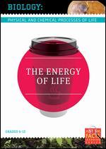 Biology Basics: The Energy of Life