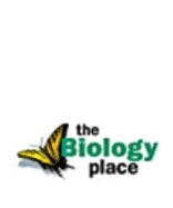 Biology Labs On-Line Lab Manual
