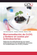 Biorremediaci?n de Cr(VI) y lindano en suelos por actinobacterias