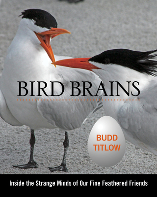 Bird Brains: Inside the Strange Minds of Our Fine Feathered Friends - Titlow, Budd
