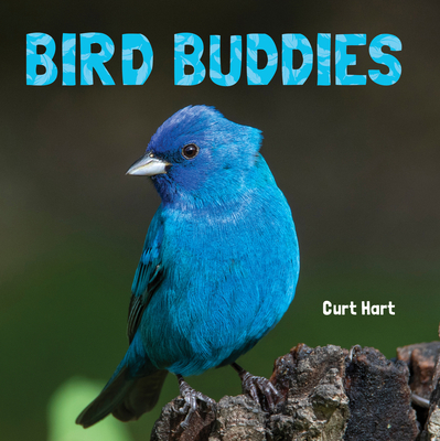 Bird Buddies - Hart, Curt (Photographer)