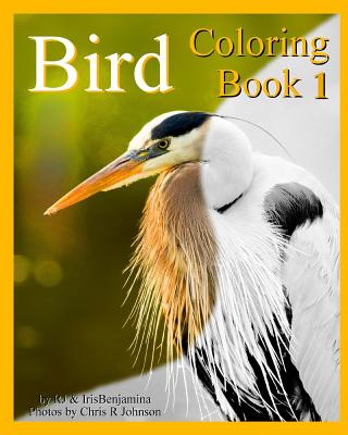 Bird Coloring Book 1 - J, Irisbenjamina, and J, R