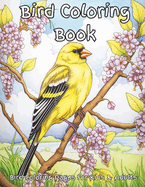 Bird Coloring Book: Enjoy coloring a variety of common birds that frequent backyards and neighborhoods. Great for relaxating, quietness, and stress relief, and designed for adults (seniors), teens and skilled children. For bird lovers and watchers alike.