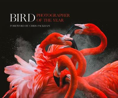 Bird Photographer of the Year: Collection 3 - Bird Photographer of the Year, and Packham, Chris (Foreword by)