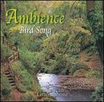 Bird Song: Ambience