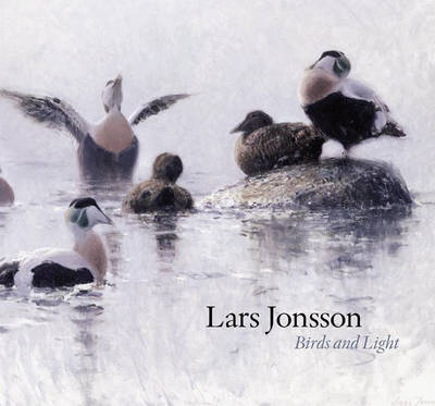 Birds and Light - Jonsson, Lars