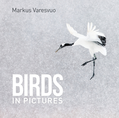 BIRDS IN PICTURES - Varesvuo, Markus