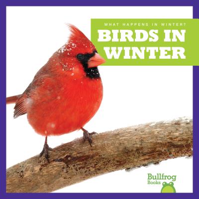 Birds in Winter - VanVoorst, Jennifer Fretland