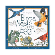 Birds, Nests & Eggs
