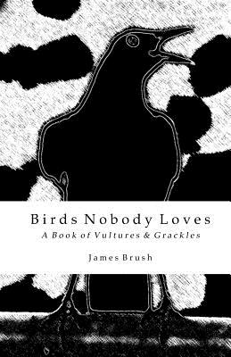 Birds Nobody Loves: A Book of Vultures & Grackles - Brush, James