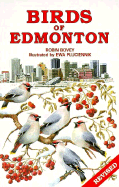Birds of Edmonton - Bovey, Robin