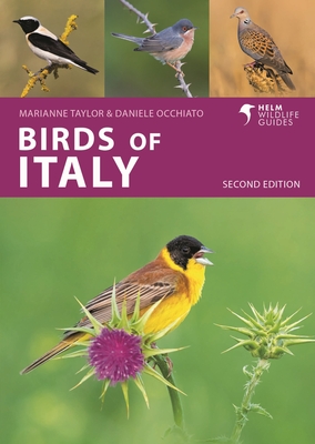 Birds of Italy - Occhiato, Daniele, and Taylor, Marianne