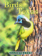 Birds of Texas - Lockwood, Mark (Editor), and Ohr, Tim (Text by)