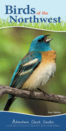 Birds of the Northwest: Your Way to Easily Identify Backyard Birds