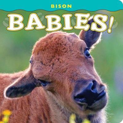 Bison Babies! - Jones, Donald M (Photographer)