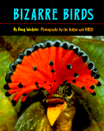 Bizarre Birds