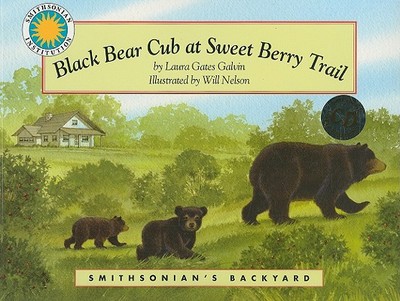 Black Bear Cub at Sweet Berry Trail - Galvin, Laura Gates