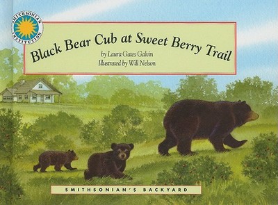 Black Bear Cub at Sweet Berry Trail - Galvin, Laura Gates
