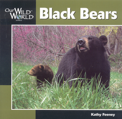 Black Bear - Feeney, Kathy