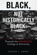 Black, Not Historically Black: Towards the Pan Black College and University