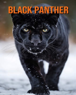 Black Panther: Amazing Photos and Fun Facts Book for kids - Hession, Kathi