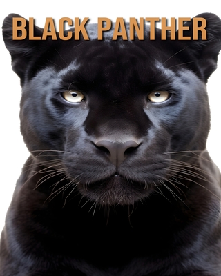 Black Panther: Learn About Black Panther and Enjoy Amazing Facts & Pictures - Fairwood, Tristan