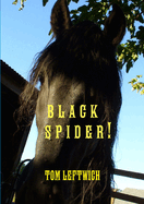 Black Spider !