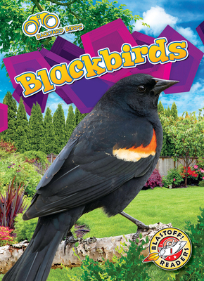 Blackbirds - Barnes, Rachael