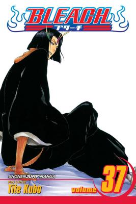 Bleach, Vol. 37 - Kubo, Tite