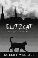 Blitzcat