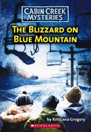 Blizzard on Blue Mountain