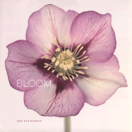 Bloom - Fetterman, Peter (Foreword by), and Van Dongen, Ron