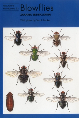 Blowflies - Erzinclioglu, Zakaria