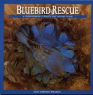 Bluebird Rescue: Country Life Nature Guide - Heilman, Joan Rattner