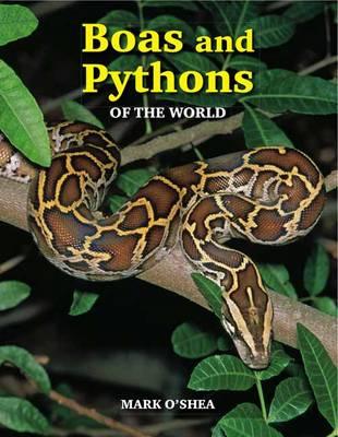 Boas and Pythons of the World - O'Shea, Mark
