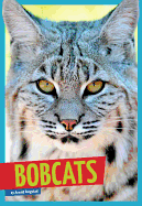 Bobcats