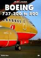 Boeing 737 - 300 to 800 - Shaw, Robbie
