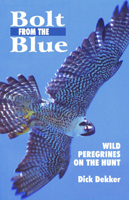 Bolt from the Blue: Wild Peregrines on the Hunt - Dekker, Dick, and Court, Gordon