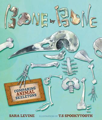 Bone by Bone: Comparing Animal Skeletons - Levine, Sara